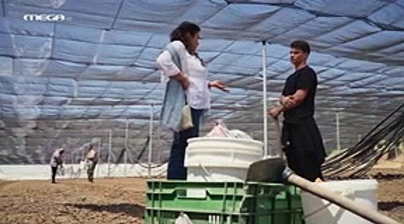 Η Γη της Ελιάς Επεισόδιο 30 part 1/1
