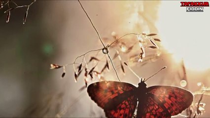 dahlan chanel ,PENGKHIANAT TERBESAR Dalam Sejarah Islam, Nahar Arrajjal