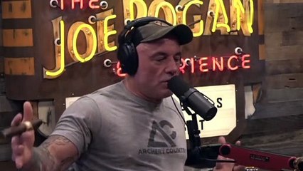 Joe Rogan Talking About Dry Age Steak From APL