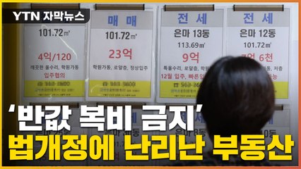 [자막뉴스] '반값·무료 중개' 막히나...법 개정에 불붙은 논란 / YTN