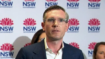 Another minister from the Perrottet government has announced he's bowing out of politics