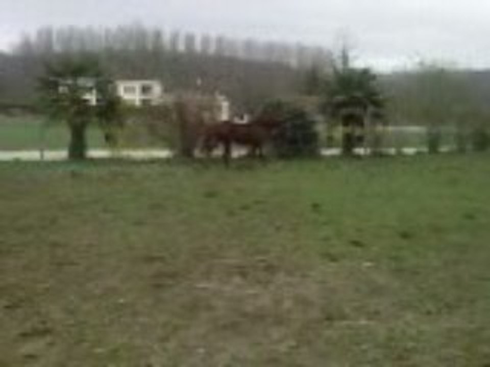 Video-0092