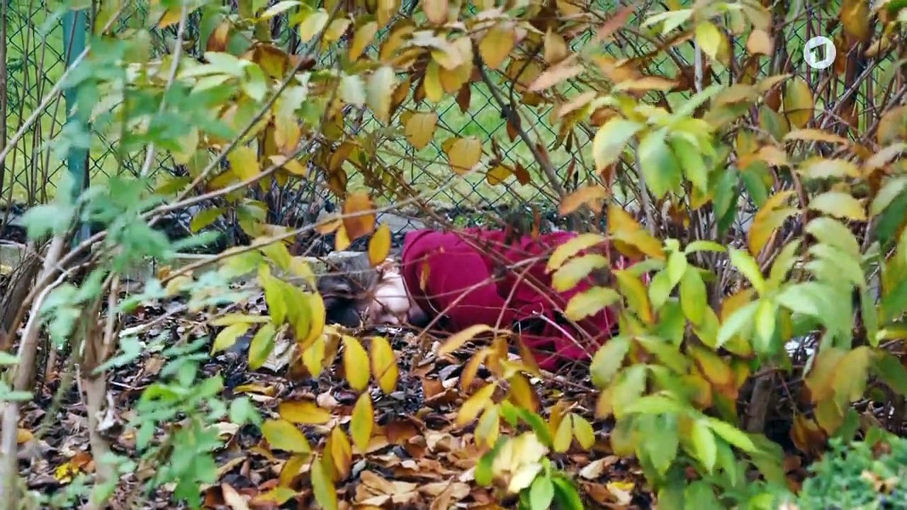 Die Heiland Wir sind Anwalt Staffel 3 Folge 2 HD Deutsch