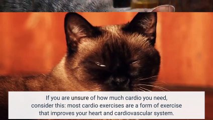 How Much Cardio Should You Be Doing?