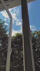 Swasana Pagi yang cerah