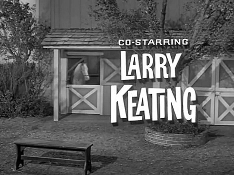 Mr. Ed Staffel 3 Folge 12 HD Deutsch