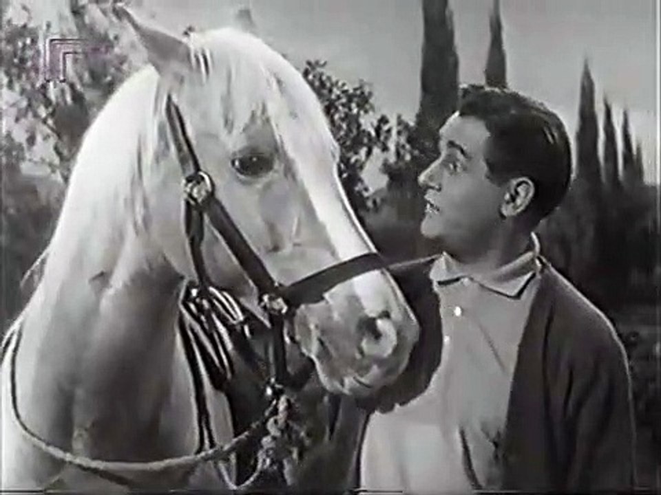 Mr. Ed Staffel 3 Folge 14 HD Deutsch