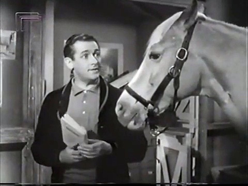 Mr. Ed Staffel 3 Folge 20 HD Deutsch
