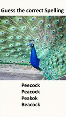 Spelling of the word is correct or not.