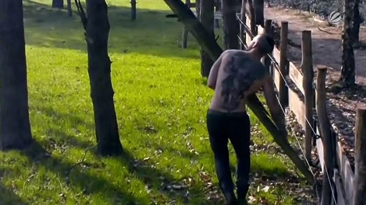 Newtopia Staffel 1 Folge 15 HD Deutsch