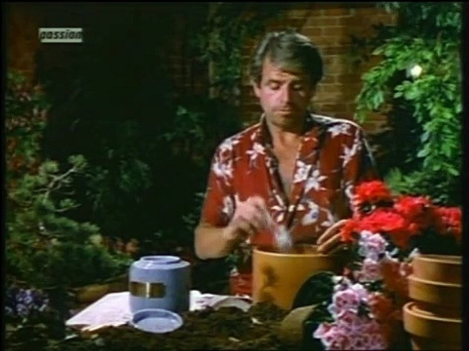 Unter der Sonne Kaliforniens Staffel 9 Folge 3 HD Deutsch