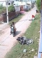 Viral !!!!! Sapi/Kerbau Mengamuk Menyerang Pengendara Bermotor