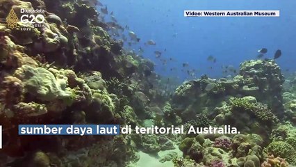 Diklaim Milik Australia, Ini Awal Mula Kepemilikan Pulau Pasir