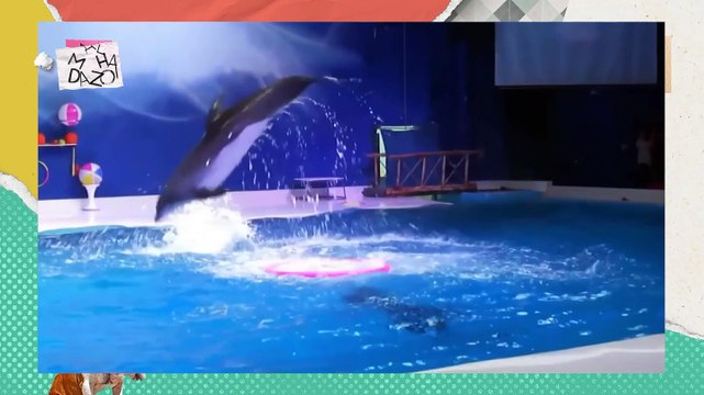 ¡Crean nueva cepa del Coronavirus en Estados Unidos! - Almohadazo Casero