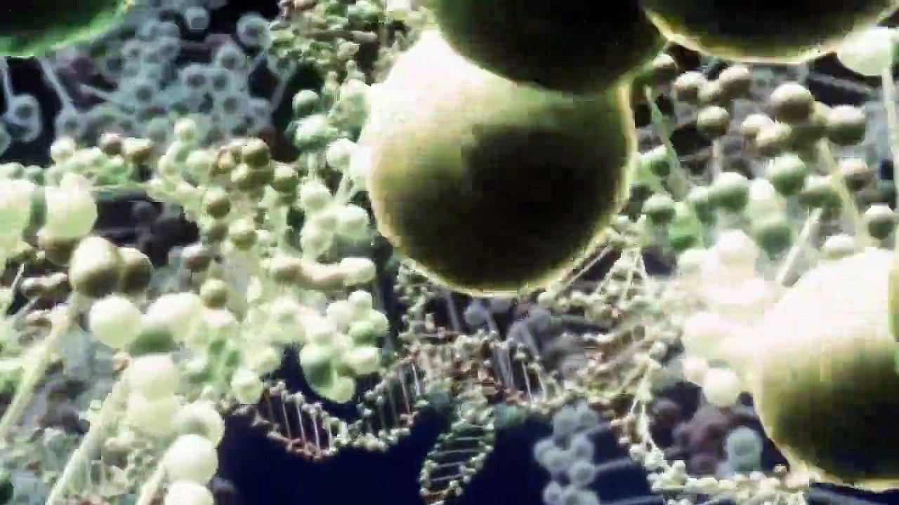 Nabari no Ou Staffel 1 Folge 24 HD Deutsch