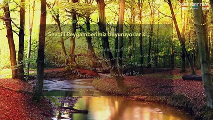 HUZURA DOGRU 20221023