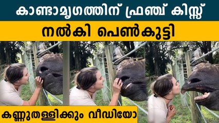 ഹോ അപാര ധൈര്യം, കാണ്ടാമൃഗത്തിന്റെ ചുണ്ടില്‍ ഉമ്മ നല്‍കി യുവതി