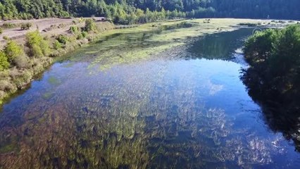 Adana haberi... Ceyhan Nehri'ni sonbaharın renkleri bürüdü