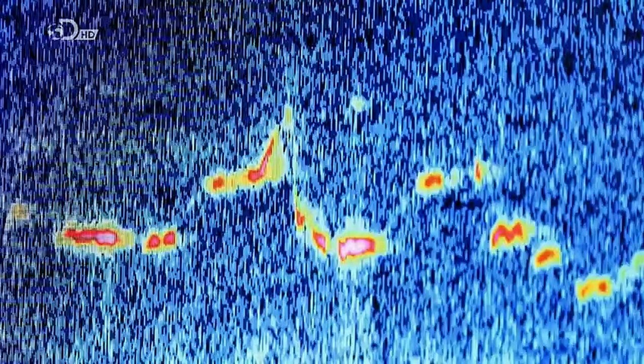 Secret Underground - Verborgene Geheimnisse Staffel 1 Folge 5 HD Deutsch