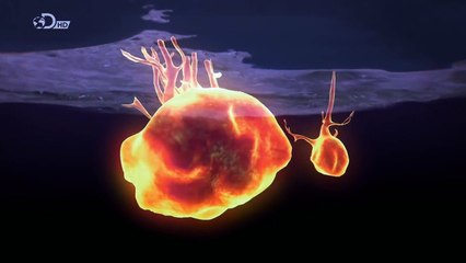 Secret Underground - Verborgene Geheimnisse Staffel 2 Folge 4 HD Deutsch