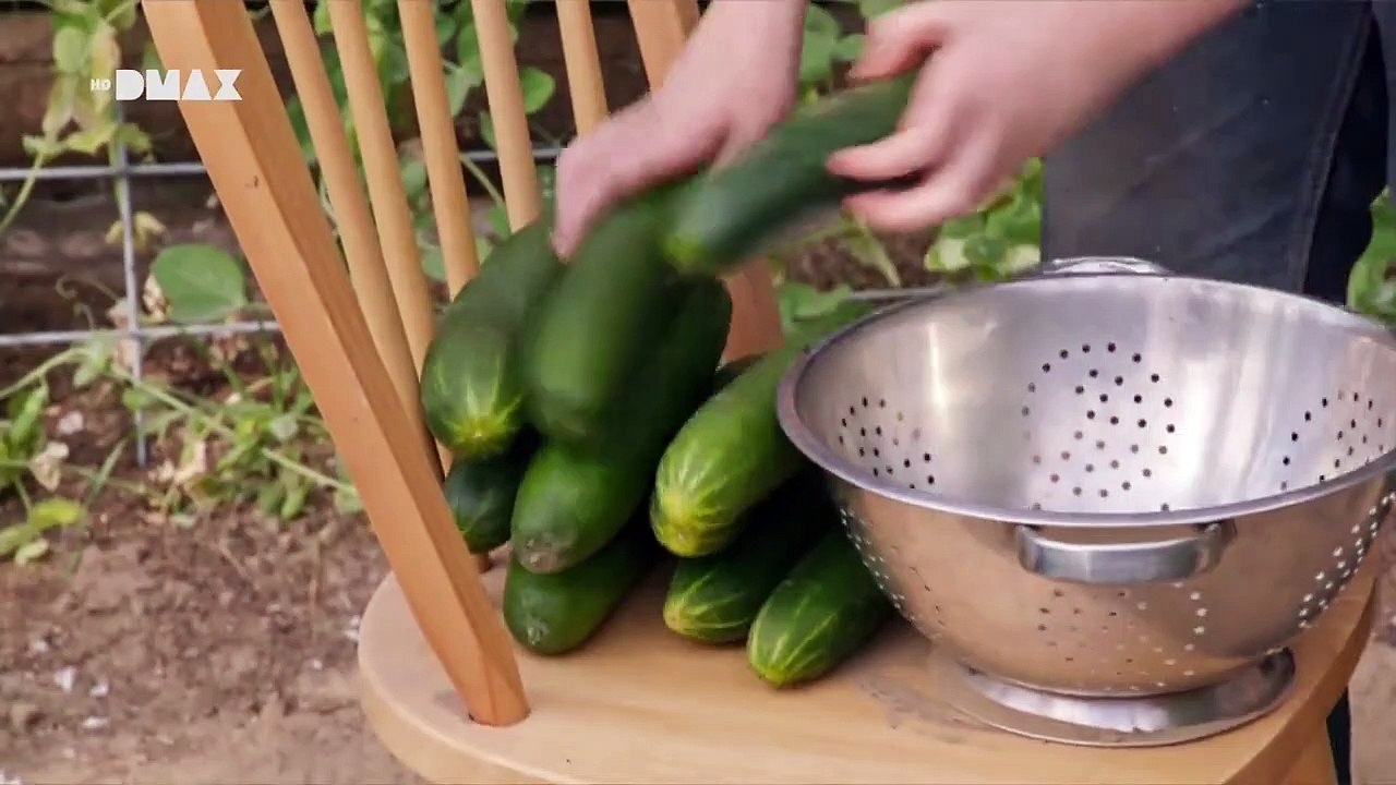 Wild Family - Die Abenteuer der Familie Hines Staffel 1 Folge 5 HD Deutsch