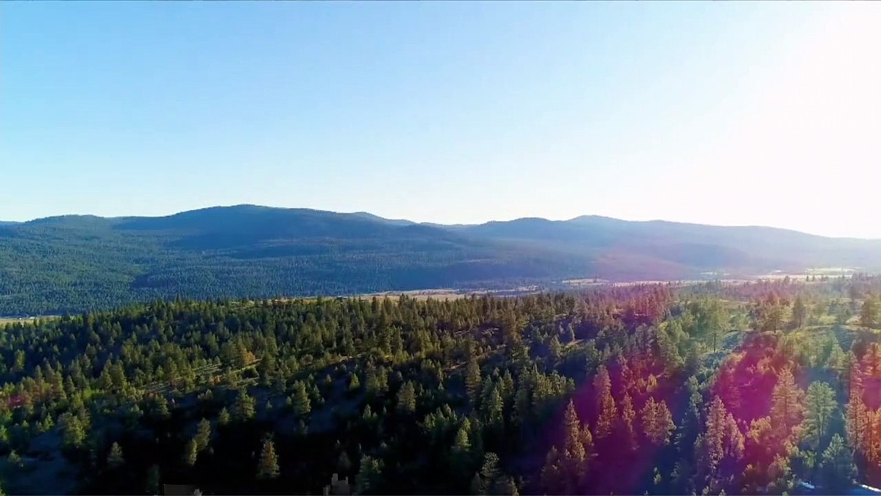 Wild Family - Die Abenteuer der Familie Hines Staffel 1 Folge 8 HD Deutsch