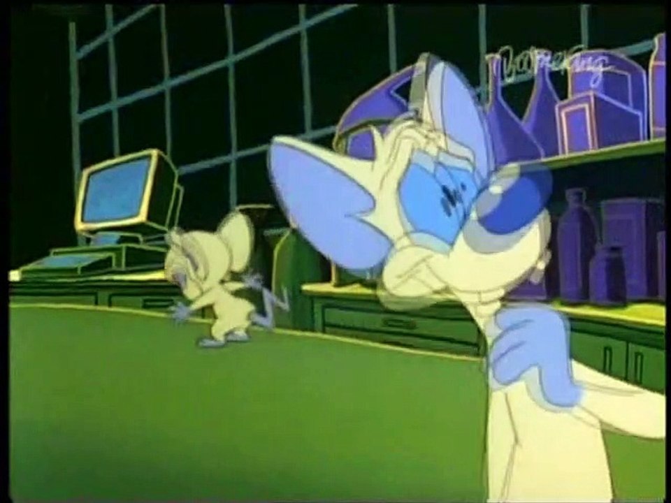 Pinky & der Brain Staffel 3 Folge 8 HD Deutsch