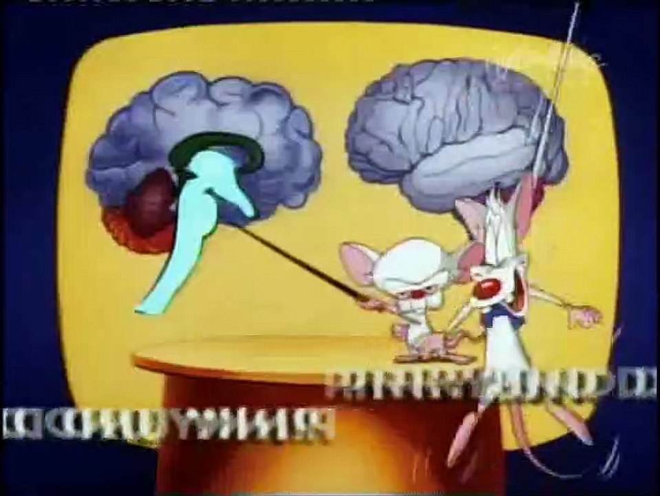 Pinky & der Brain Staffel 3 Folge 22 HD Deutsch