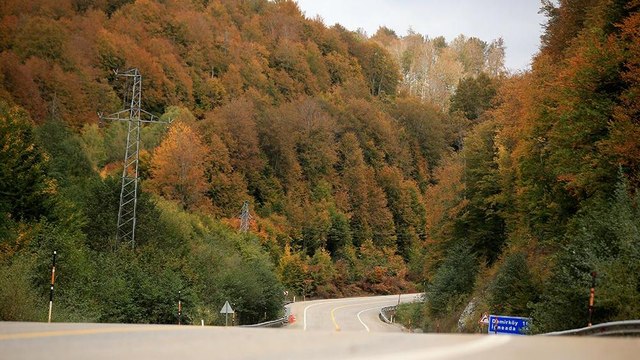 Istranca ormanları sonbahar renklerine büründü