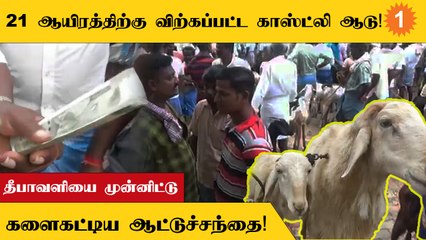 Sivagangai மாவட்டம் திருப்புவனத்தில் தீபாவளியை முன்னிட்டு ஆடு வியாபாரம் அமோகம்!