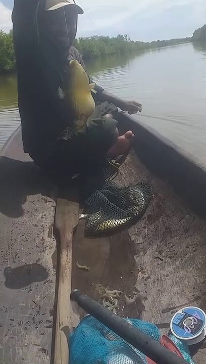 Memancing ikan bukan mancing emosi.memancing strike ikan bukum