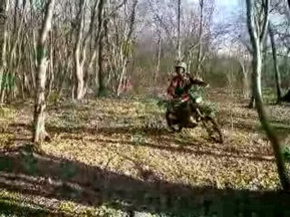 seb