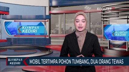 Download Video: Pohon Tumbang Timpa Mobil, 2 Orang Meninggal Dunia