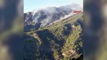 Osmaniye'de yangın 2. gününde! Müdahale devam ediyor