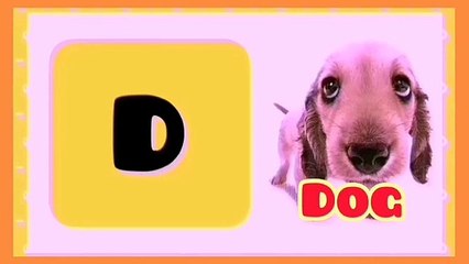 A For Apple - ABC Alphabet with Images and their spelling