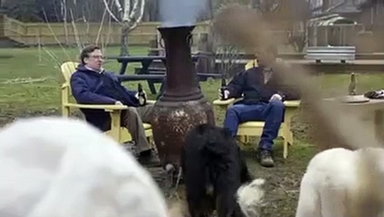 Fear thy neighbour Monkey in the middle