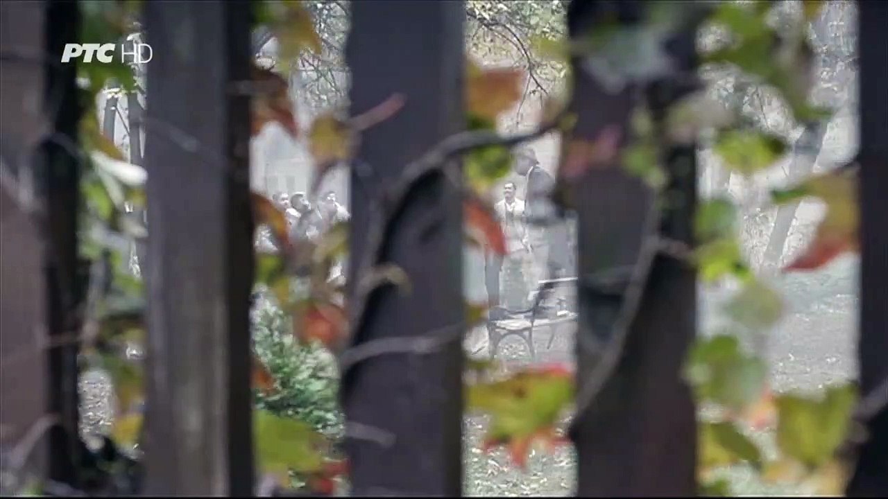 Slepi putnik na brodu ludaka (2016)