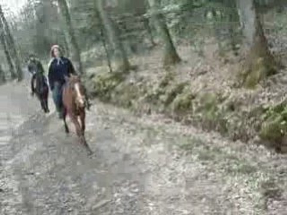 ballade16 mars au trot