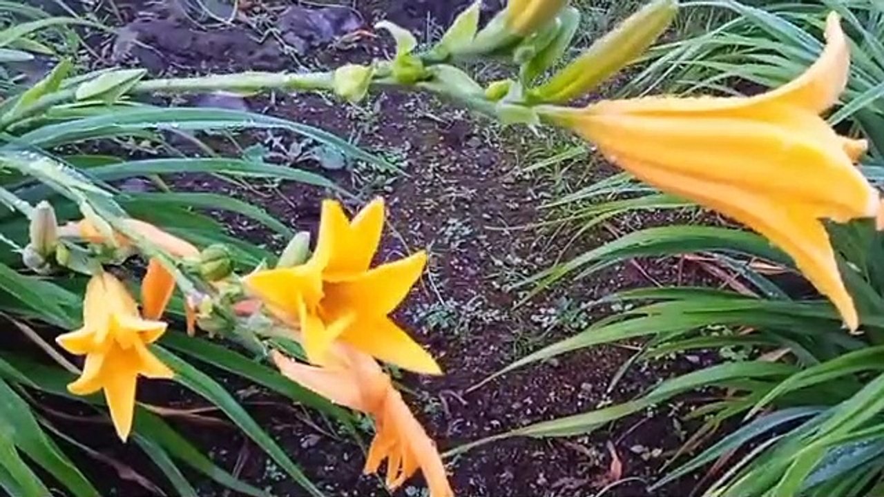 beautiful scenery