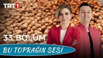 Bu Toprağın Sesi 33. Bölüm