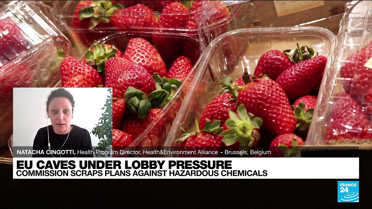 REACH: EU caves under lobby pressure
