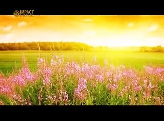 Judika - Kasih Bapa | Official Lyrics Video| Lagu Rohani