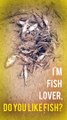 Small fish | fish video | fish fishh |fish cutting | hotel montell fish | flying fish | Village People Life