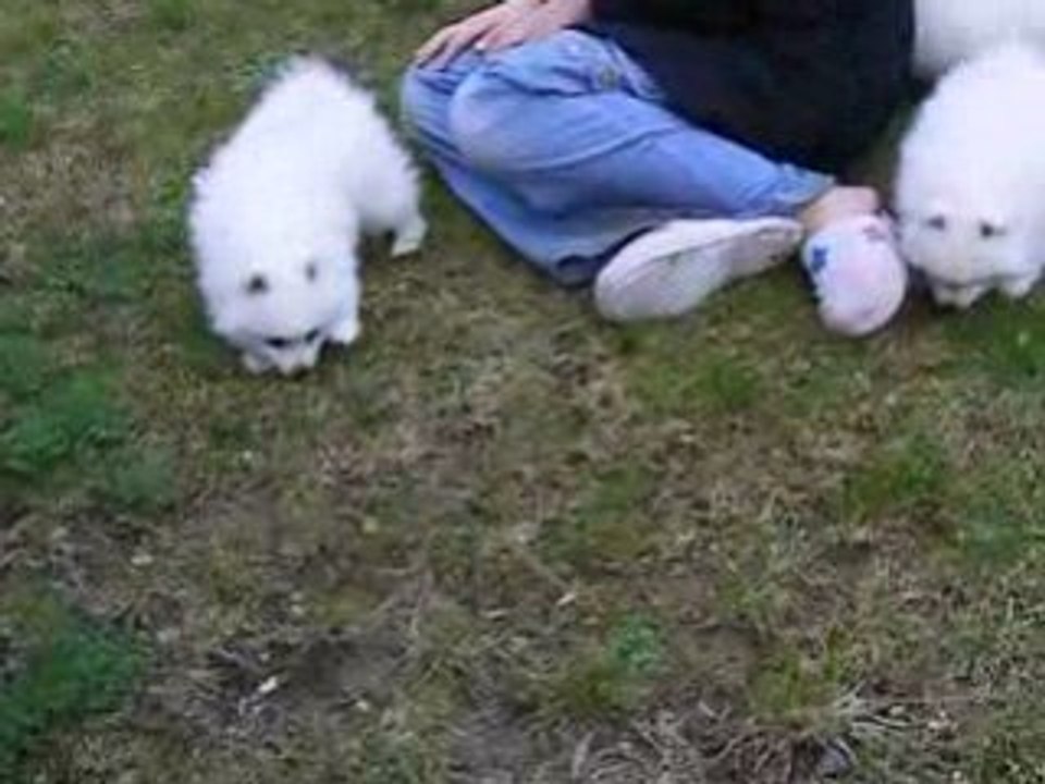 Les babys en plein air