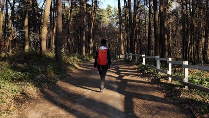 Walking in the woods