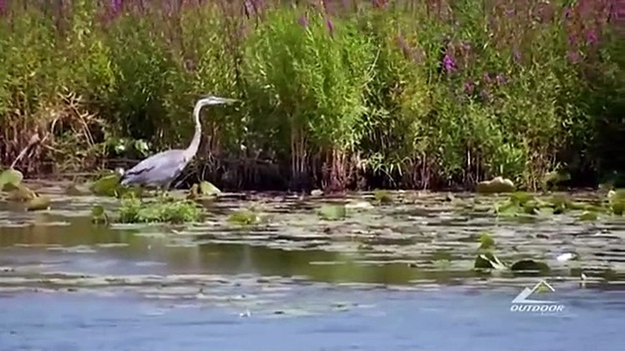 Apex Predator - Se1 - Ep05 HD Watch HD Deutsch