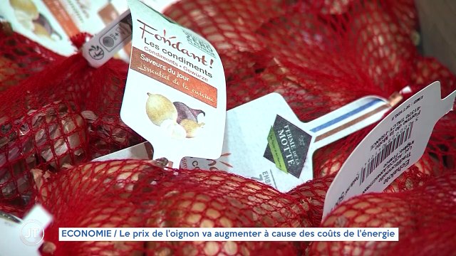 ECONOMIE / Le prix de l'oignon va augmenter à cause des coûts de l'énergie