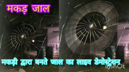 मकड़ जाल _Makad Jaal _Viral Samachar