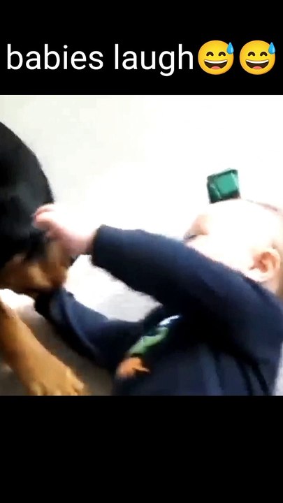 Babues Play with puppies