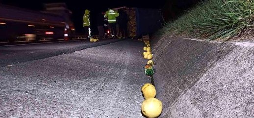 Otoyolda ayva yüklü kamyonet devrildi